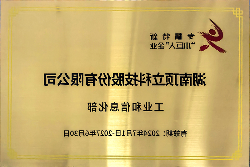专精特新小巨人企业